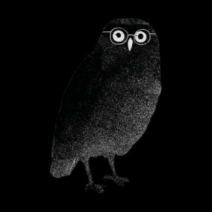 Wise owl in glasses illustration